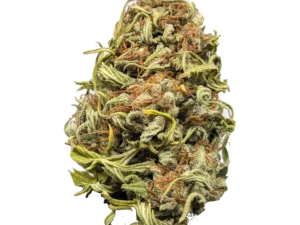 Double Dosed Delta 8 Bud